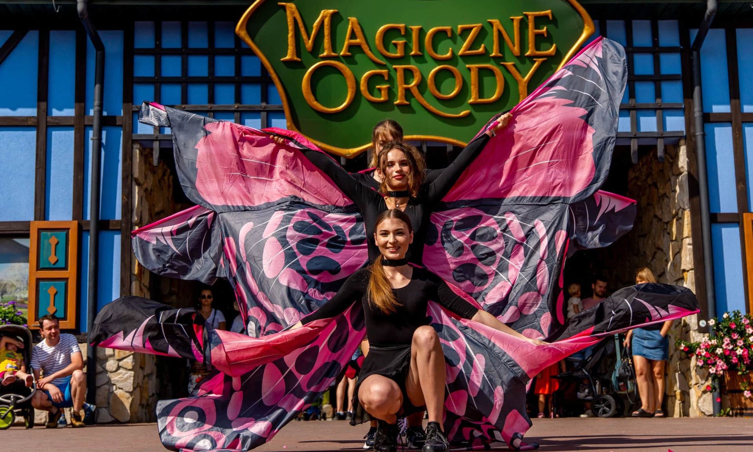 motyle-magiczne-ogrody